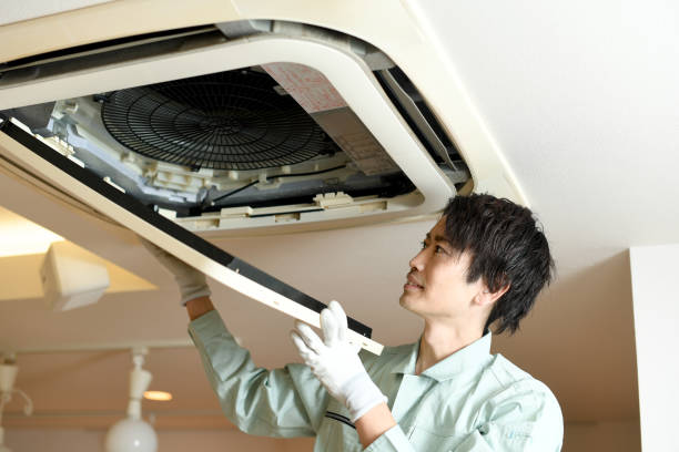 Best Local Air Duct Cleaning Services  in Flowing Wells, AZ