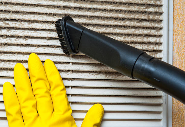 Best Dryer Vent Cleaning Services  in Flowing Wells, AZ